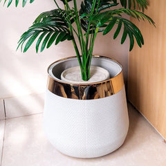 Plastic pot only For Plants - Height 12 Inch Width 15 Inch