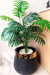 Areca Plant with Fibre Pot - 3 feet Height