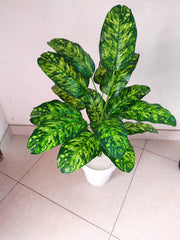 Unique Design Artificial Plant with Plastic Pot | 28-Inches