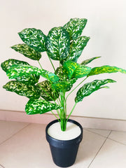 Unique Design Artificial Plant with Plastic Pot | 28-Inches