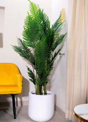 Artificial Areca Palm With U Shape Planter | 6-Feet Height