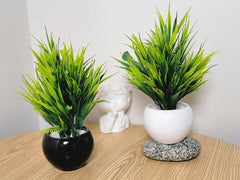 Round Pot with Cactus - Set of 2 & Set of 3
