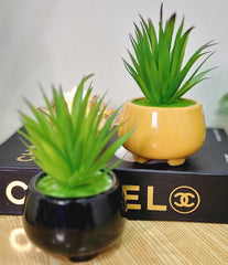 Standy Pot with Cactus - Set of 2, 8 Inch Ceramic Pots