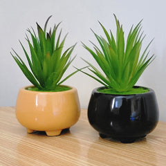 Standy Pot with Cactus - Set of 2, 8 Inch Ceramic Pots