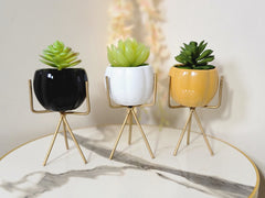 Flower Pot with Cactus and Gold Metal Stand – 12 Inches – Ceramic Pot