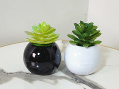 Pack of 2 Mini Ceramic Pots with Rubber Cactus - 3 Inches