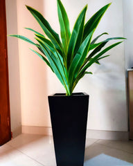 Tapered Square Fibre Long Pot - 24 Inch (White, Black, Grey)