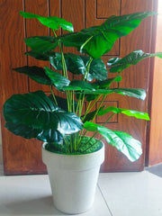 Artificial Elephant Ear Plant with Plastic Pot | 28 Inches Tall
