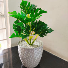 Fiber Rhombus Pattern Design Pot Only | 7 Inches