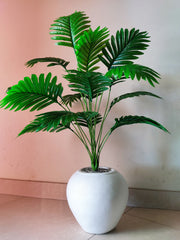 Areca Plant with POP Pot | 36-Inch Tall