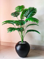 Areca Plant with POP Pot | 36-Inch Tall