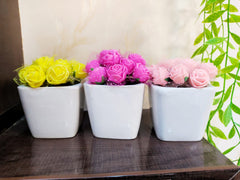 Set of 3 Mini Pots with Foamic Rose Flowers – 3-Inch Ceramic Planters
