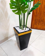 Tall Monstera Plant With gold strip Fibre Planter - 6 Feet Height