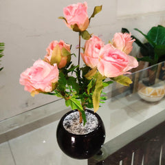Black ceramic pot with blush pink rose