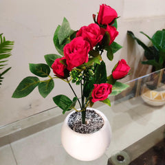 Rose with white pot 12 inch height