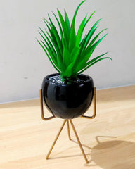 Succulent with Ceramic Pot and Golden Stand – 9 Inch