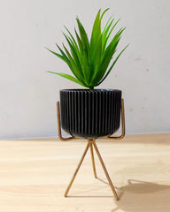 Succulent with Ceramic Pot and Golden Stand – 9 Inch