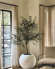 Sphere Fibreglass planter - 24 inch