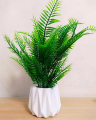 Ceramic Vase with Fern Plant - Height 16 inch