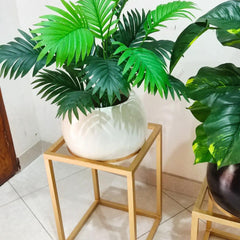 Plant with round planter and gold metal stand