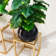 Plant with round planter and gold metal stand
