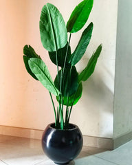Artificial Banana Palm Tree with Black Fiberglass Planter | 5-Feet