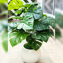 Artificial monstera plant with fibre planter Height 3 feet