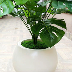 Artificial monstera plant with fibre planter Height 3 feet