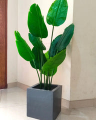 Artificial banana palm with square fibre planter - Height 5 feet
