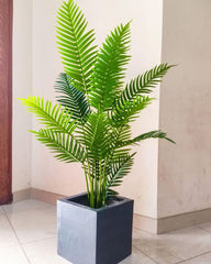 Artificial Areca Palm with Square Fiber Planter | 5-Feet