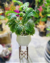 Elegant 4.5-Feet Artificial Areca Palm with Handcrafted Cane Planter Stand