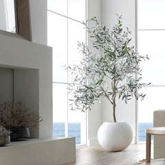 Round Fibre Pot - Plant Not Included