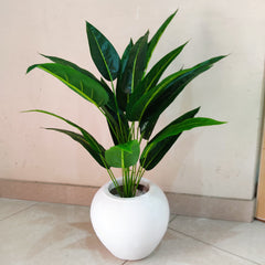 Artificial Bird of Paradise Plant with Pot - 3 Feet Height