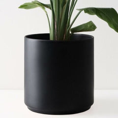 Fiber Plain Design Pot Only | 7-Inche
