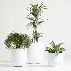 U-Shaped Fibre Pot