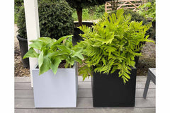 Square Fibre Pot - 12 Inch Cube