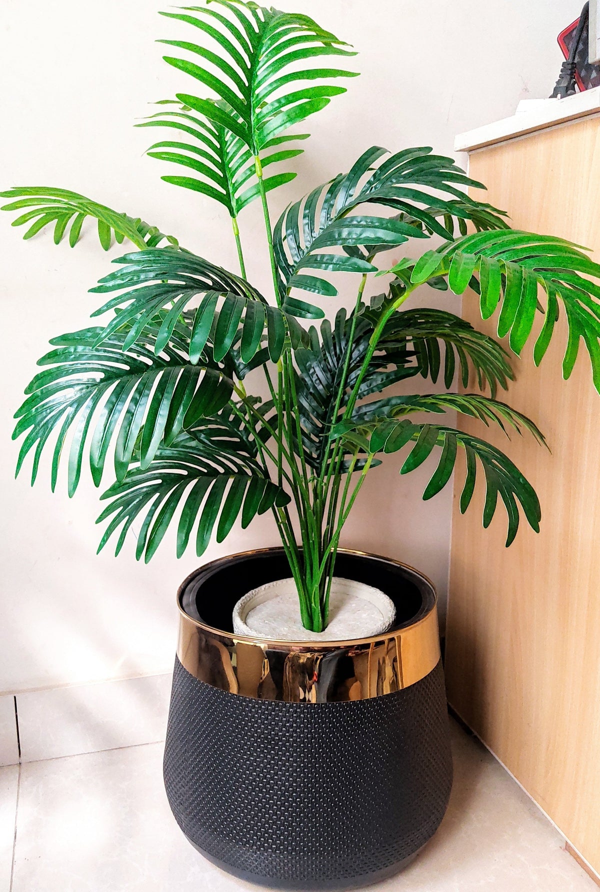 Areca Plant with Fibre Pot - 3 feet Height