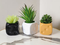 Dice Pot with Cactus Plants - Set of 3 | 8 Inches Tall Ceramic Pots
