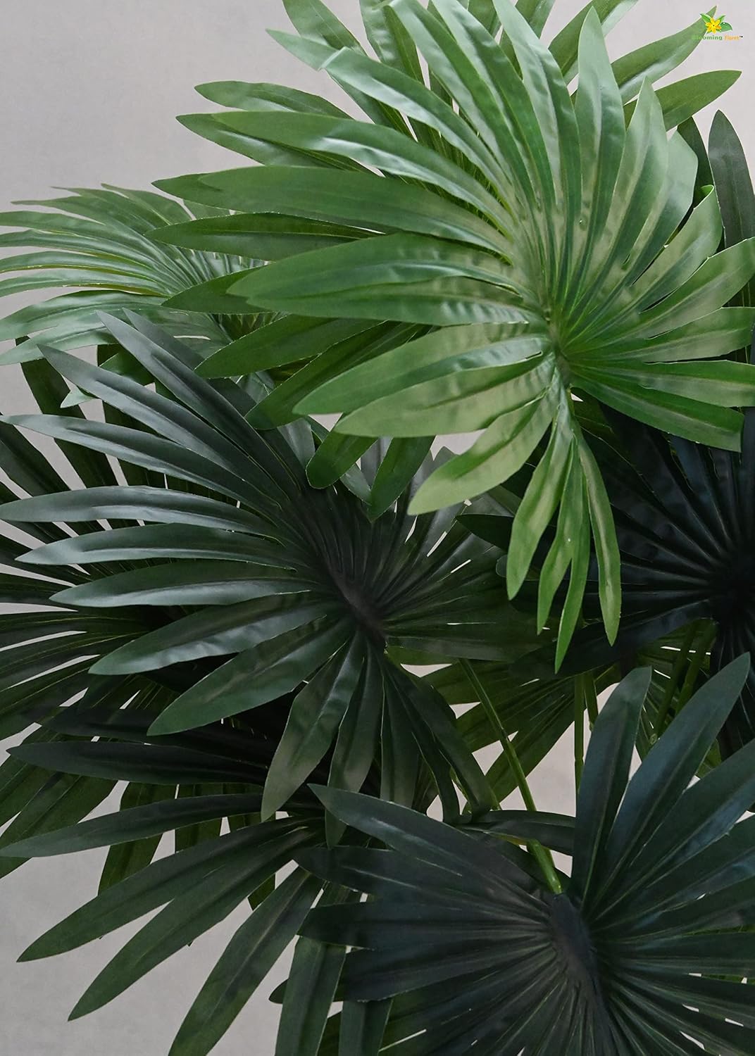 Fan Palm with Plastic Pot – 28 Inches Tall