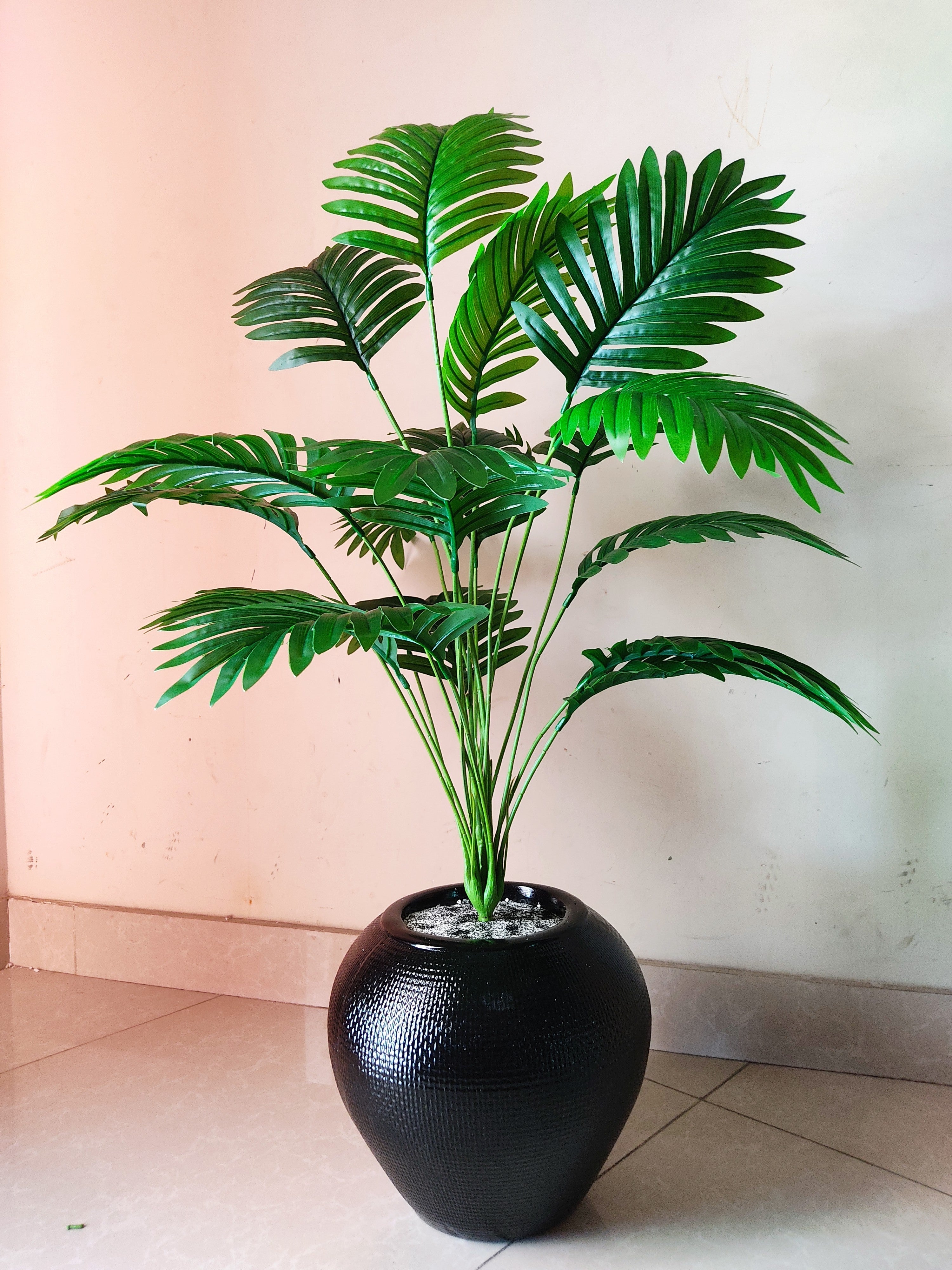 Areca Plant with POP Pot | 36-Inch Tall