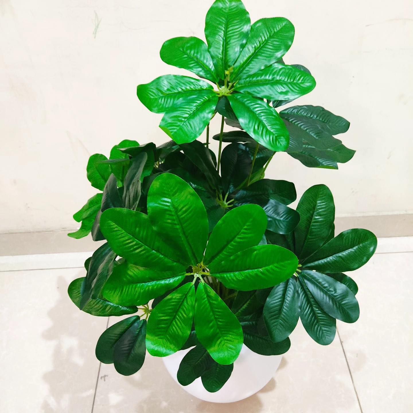 Round Fibreglass Pot With Cheeko Plant - 3 Feet Height