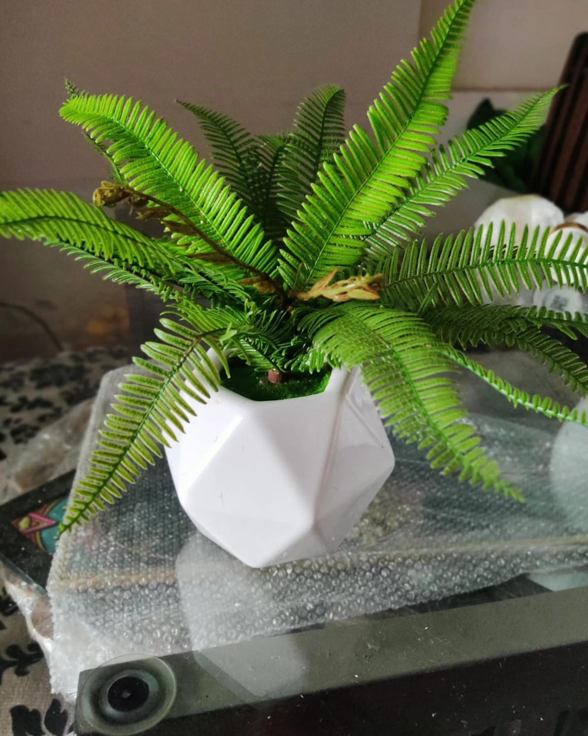 Artificial Fern Plant With Diamond Shape Ceramic Pot