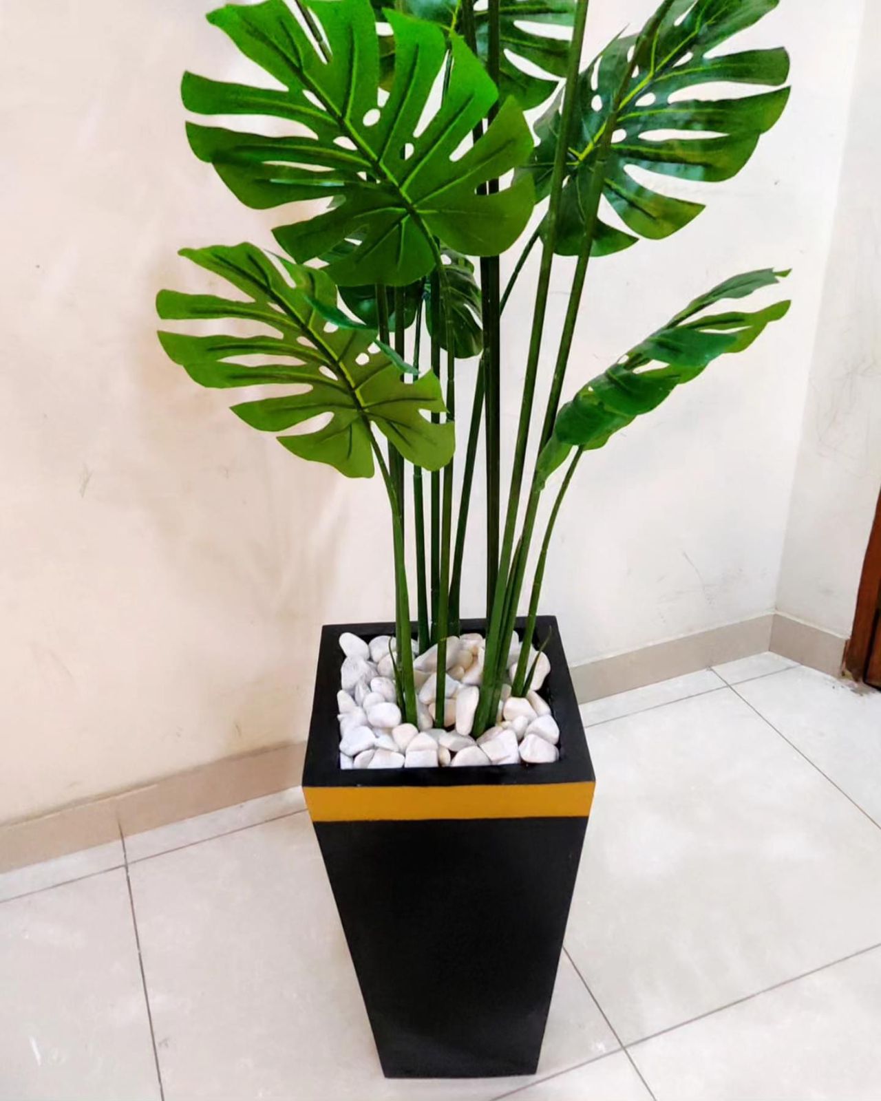 Tall Monstera Plant With gold strip Fibre Planter - 6 Feet Height