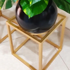 Plant with round planter and gold metal stand