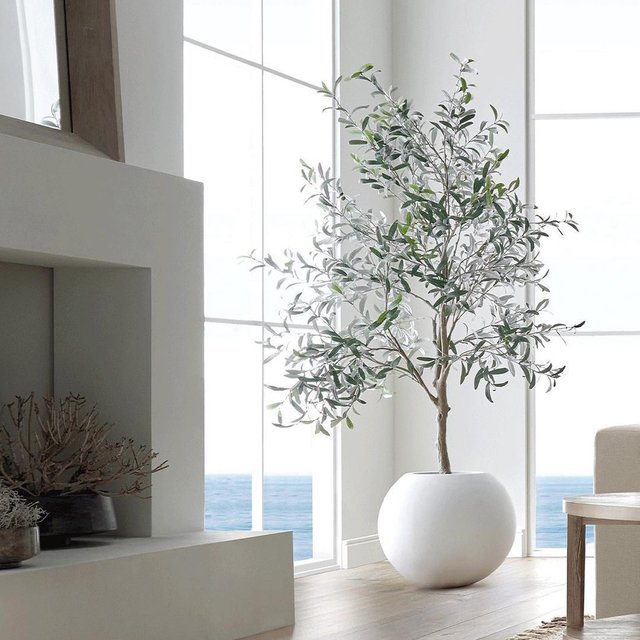 Round Fibre Pot - Plant Not Included
